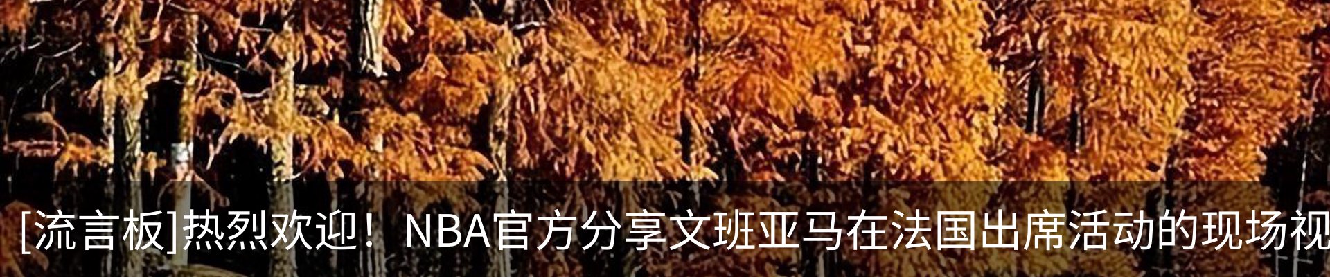行业资讯